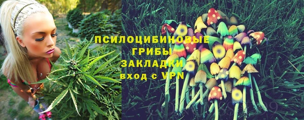 PSILOCYBIN Белоозёрский