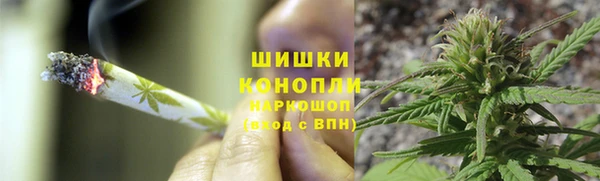 PSILOCYBIN Белоозёрский